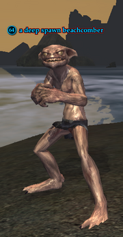 A deep spawn beachcomber