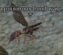 A poisonous hood wasp