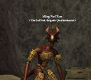 Mirg Nel'Ron