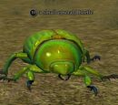 A small emerald beetle