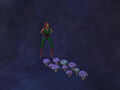 Mmmushrooms.jpg