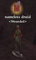Nameless druid (Jarsath Wastes).jpg
