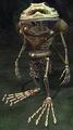 Undead Knight III (Master).jpg