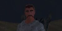 Captain Vertas