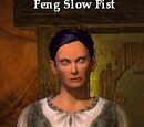 Feng Slow Fist