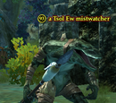 A Tsol Ew mistwatcher