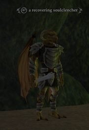 A recovering soulclencher