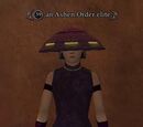 An Ashen Order elite