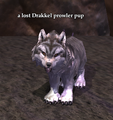 A lost Drakkel prowler pup.png