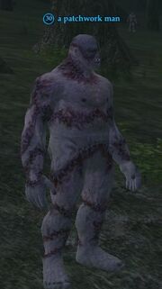 A patchwork man