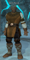 Aeruflr Farloch.png