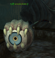 An oculus healer