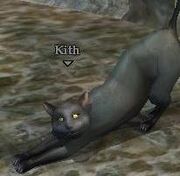 Kith