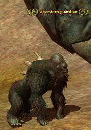 A western guardian