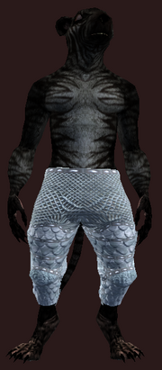 Diviner's Chausses of Visions - picture