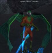 A power infused Haoaeran