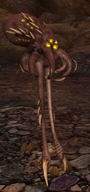 Race fathomlurker