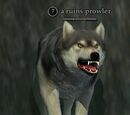 A ruins prowler
