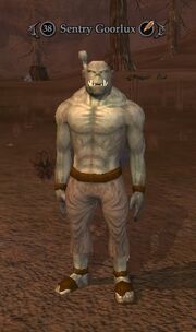 Sentry goorlux