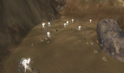 The Hidden Vale