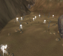 The Hidden Vale