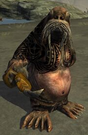 Race ulthork
