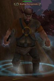 Rorlug Facegrinder