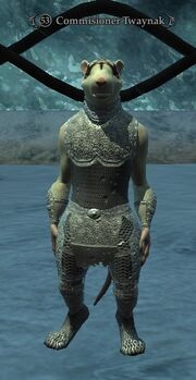 Commisioner Twaynak