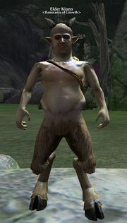 Elder Kionn