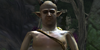 Elder Kionn