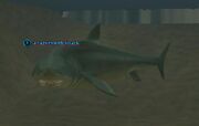Razortooth shark