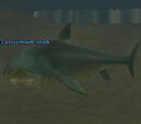 Razortooth shark