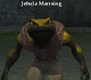 Jebula Marrsing
