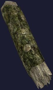 Large mossy log (Visible)