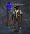 A House De'Tretlar slave.jpg