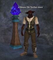A House De'Tretlar slave