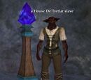 A House De'Tretlar slave