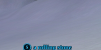 A rolling stone