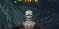 A soul bleeder