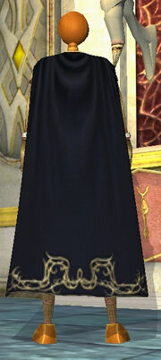 Assassin Master's Cloak Equipped