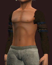 Pauldrons of the Schlemiel (Equipped)