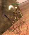 A brittle spurbone.jpg