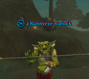 A Runnyeye warlock (Enchanted Lands)