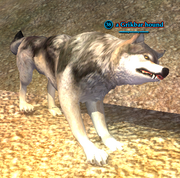 A Grikbar hound