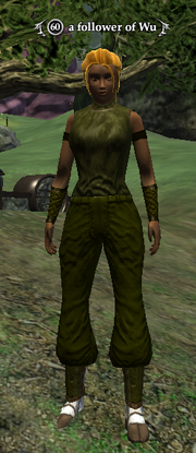 A follower of Wu