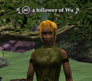 A follower of Wu