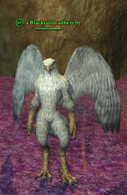 A Blacktalon adherent