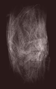 Urzarach Web Wrapping (Visible)