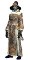 Apprentice's Robe (Visible).jpg