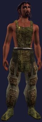 Academy of Logistics Ceremonial (Armor Set) (Visible, Male)